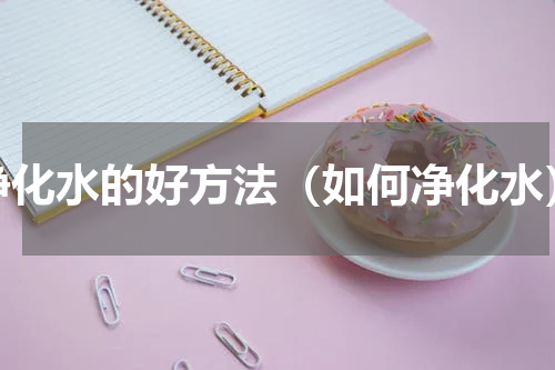 净化水的好方法（如何净化水）