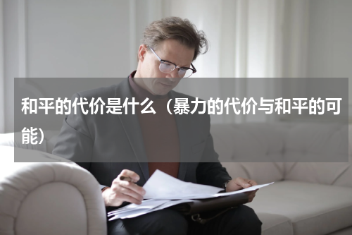 和平的代价是什么（暴力的代价与和平的可能）