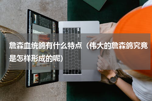 詹森血统鸽有什么特点（伟大的詹森鸽究竟是怎样形成的呢）