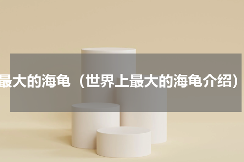 最大的海龟（世界上最大的海龟介绍）