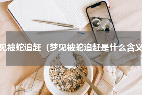 梦见被蛇追赶（梦见被蛇追赶是什么含义）