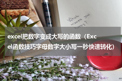 excel把数字变成大写的函数（Excel函数技巧字母数字大小写一秒快速转化）
