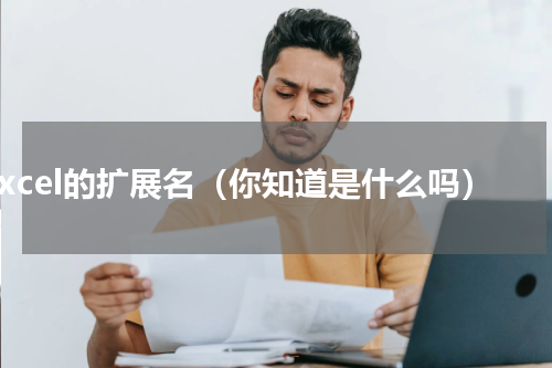 excel的扩展名（你知道是什么吗）