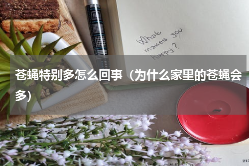 苍蝇特别多怎么回事（为什么家里的苍蝇会多）