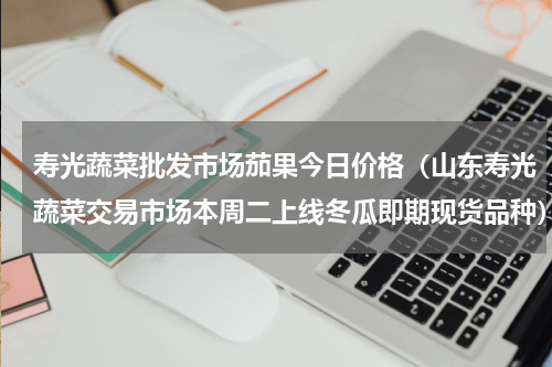 寿光蔬菜批发市场茄果今日价格（山东寿光蔬菜交易市场本周二上线冬瓜即期现货品种）