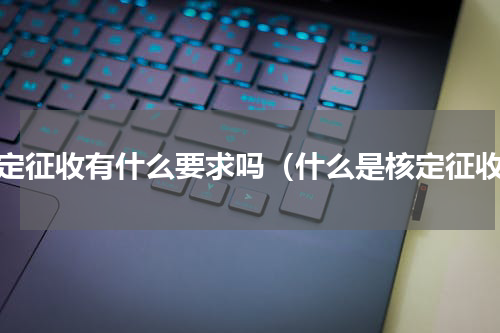核定征收有什么要求吗（什么是核定征收）