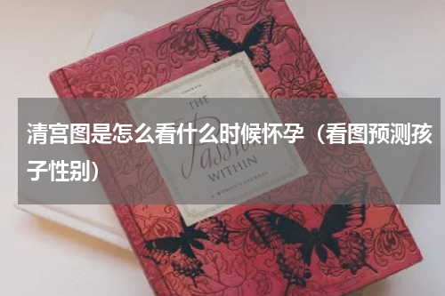 清宫图是怎么看什么时候怀孕（看图预测孩子性别）