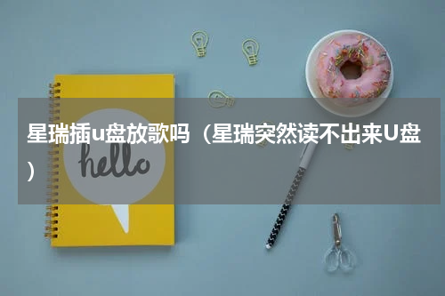 星瑞插u盘放歌吗（星瑞突然读不出来U盘）