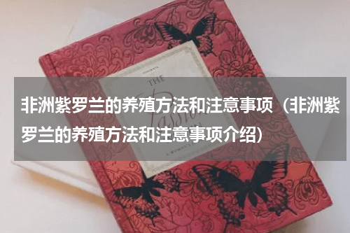 非洲紫罗兰的养殖方法和注意事项（非洲紫罗兰的养殖方法和注意事项介绍）