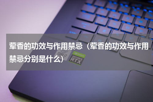 荤香的功效与作用禁忌（荤香的功效与作用禁忌分别是什么）