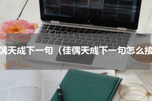 佳偶天成下一句（佳偶天成下一句怎么接）