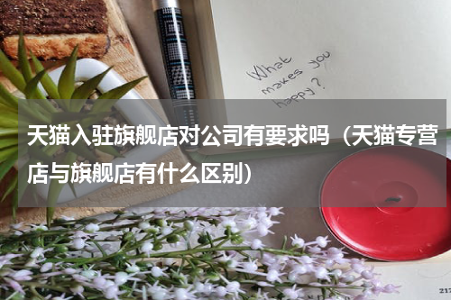 天猫入驻旗舰店对公司有要求吗（天猫专营店与旗舰店有什么区别）