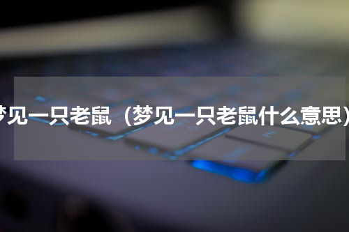 梦见一只老鼠（梦见一只老鼠什么意思）