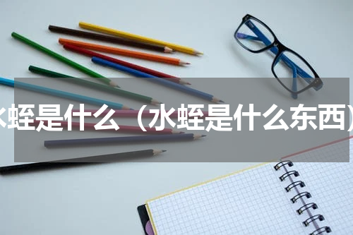 水蛭是什么（水蛭是什么东西）