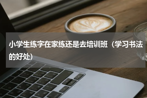小学生练字在家练还是去培训班（学习书法的好处）