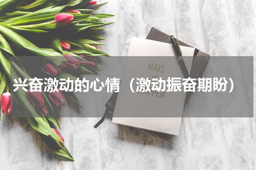 兴奋激动的心情（激动振奋期盼）