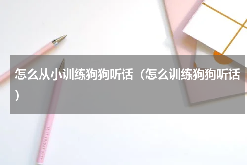 怎么从小训练狗狗听话（怎么训练狗狗听话）