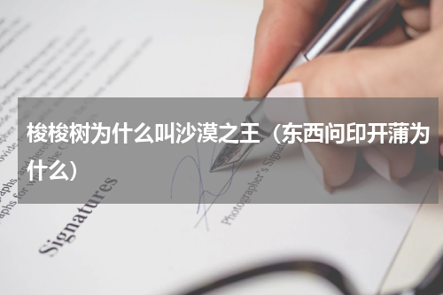 梭梭树为什么叫沙漠之王（东西问印开蒲为什么）