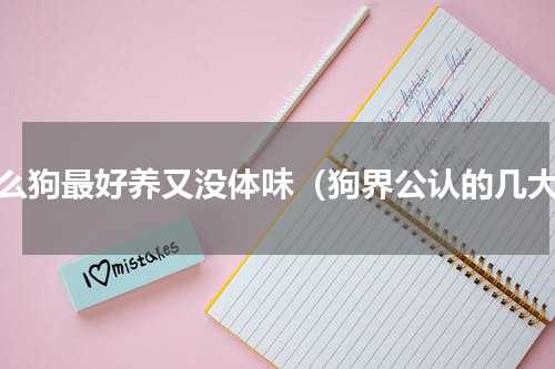 什么狗最好养又没体味（狗界公认的几大）