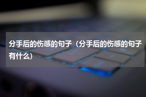 分手后的伤感的句子（分手后的伤感的句子有什么）