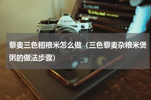 藜麦三色粗粮米怎么做（三色藜麦杂粮米煲粥的做法步骤）