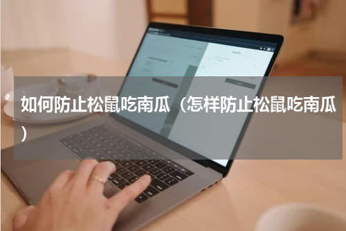 如何防止松鼠吃南瓜（怎样防止松鼠吃南瓜）