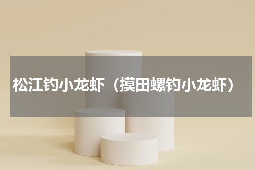松江钓小龙虾（摸田螺钓小龙虾）