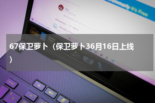 67保卫萝卜（保卫萝卜36月16日上线）