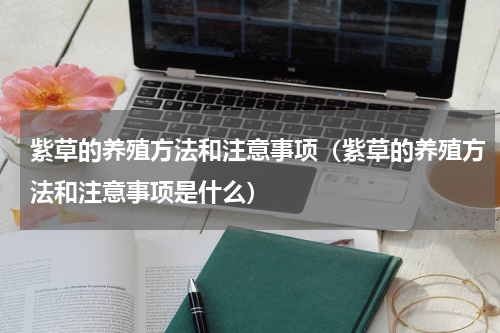 紫草的养殖方法和注意事项（紫草的养殖方法和注意事项是什么）