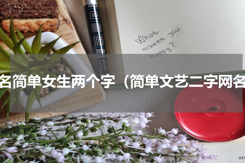 网名简单女生两个字（简单文艺二字网名）
