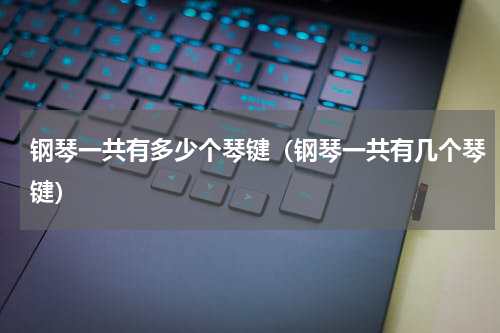 钢琴一共有多少个琴键（钢琴一共有几个琴键）