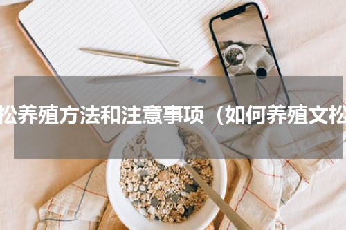 文松养殖方法和注意事项（如何养殖文松）