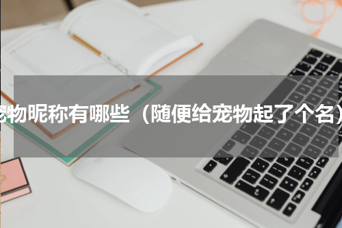 宠物昵称有哪些（随便给宠物起了个名）