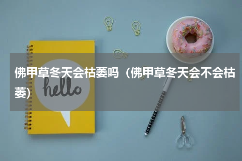 佛甲草冬天会枯萎吗（佛甲草冬天会不会枯萎）