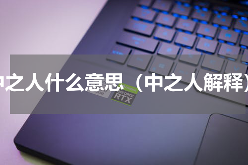 中之人什么意思（中之人解释）