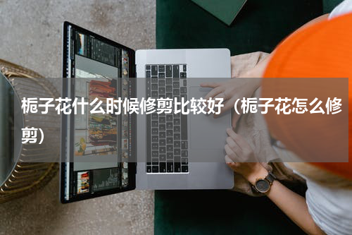 栀子花什么时候修剪比较好（栀子花怎么修剪）