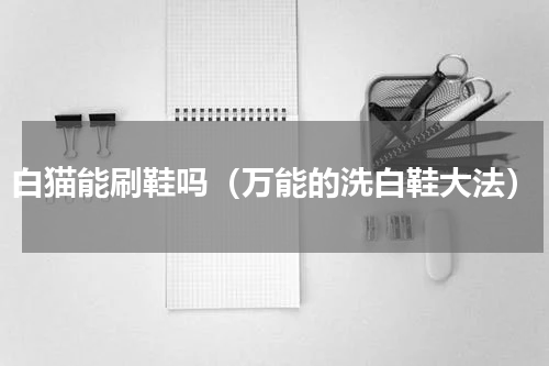 白猫能刷鞋吗（万能的洗白鞋大法）