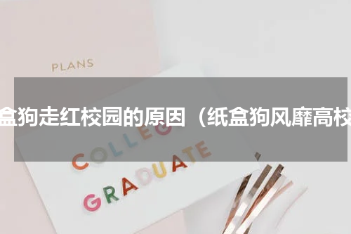 纸盒狗走红校园的原因（纸盒狗风靡高校）