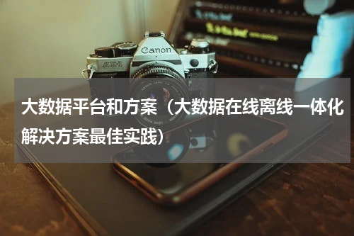 大数据平台和方案（大数据在线离线一体化解决方案最佳实践）