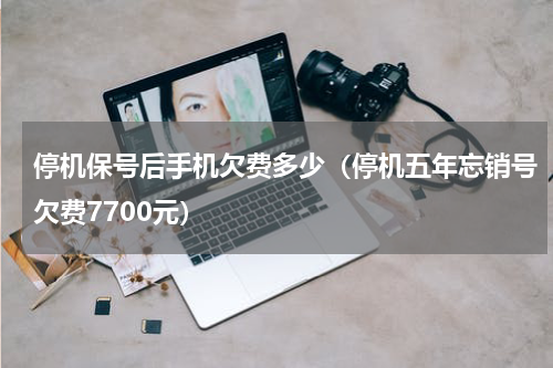停机保号后手机欠费多少（停机五年忘销号欠费7700元）