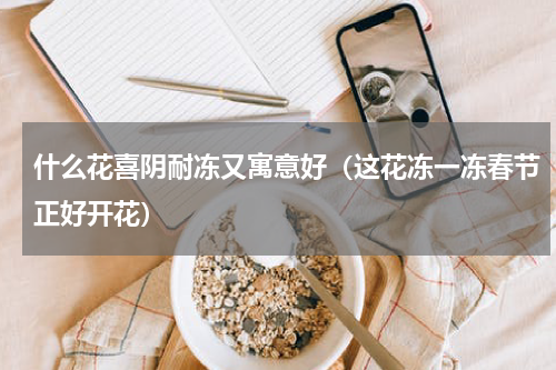 什么花喜阴耐冻又寓意好（这花冻一冻春节正好开花）