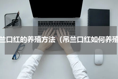吊兰口红的养殖方法（吊兰口红如何养殖）