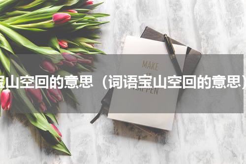 宝山空回的意思（词语宝山空回的意思）