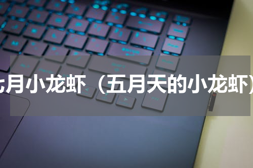 七月小龙虾（五月天的小龙虾）