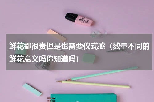 鲜花都很贵但是也需要仪式感（数量不同的鲜花意义吗你知道吗）