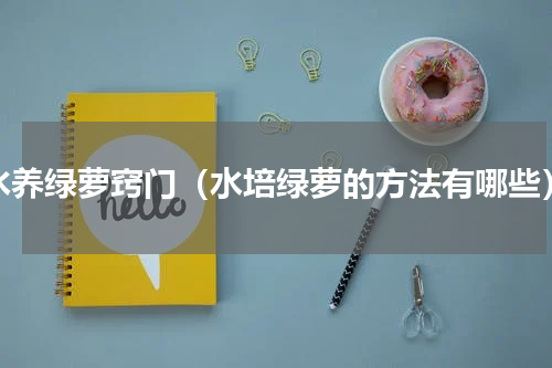 水养绿萝窍门（水培绿萝的方法有哪些）
