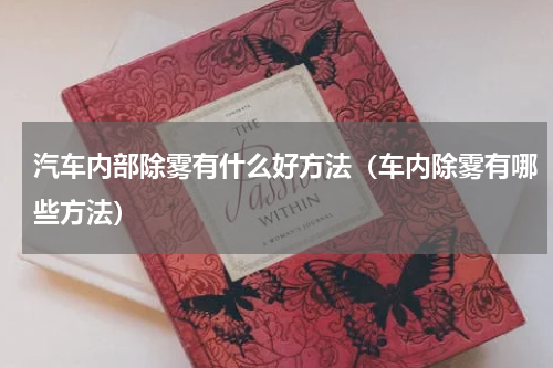 汽车内部除雾有什么好方法（车内除雾有哪些方法）
