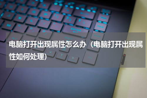 电脑打开出现属性怎么办（电脑打开出现属性如何处理）