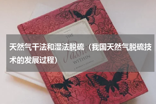天然气干法和湿法脱硫（我国天然气脱硫技术的发展过程）