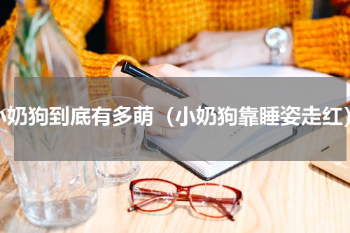 小奶狗到底有多萌（小奶狗靠睡姿走红）